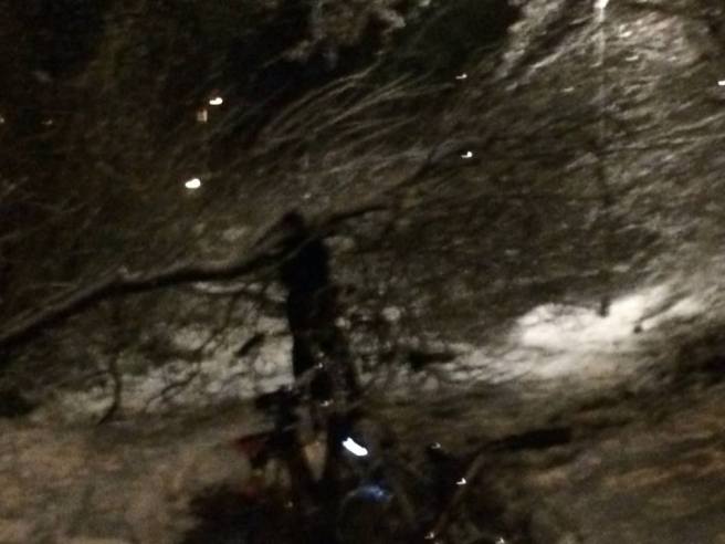 10906064_854631571224947_2237836886718235958_n